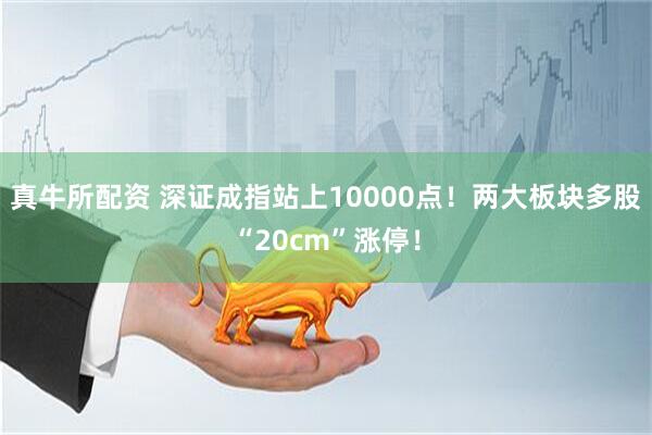 真牛所配资 深证成指站上10000点！两大板块多股“20cm”涨停！
