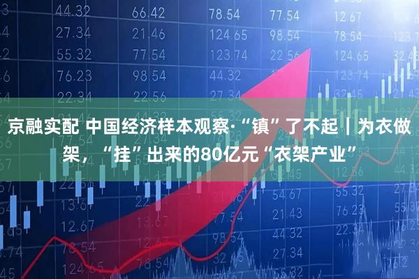 京融实配 中国经济样本观察·“镇”了不起｜为衣做架，“挂”出来的80亿元“衣架产业”