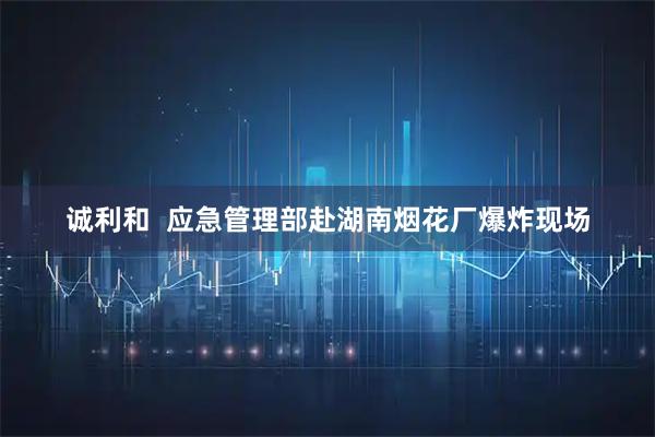 诚利和  应急管理部赴湖南烟花厂爆炸现场
