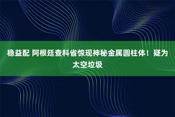 稳益配 阿根廷查科省惊现神秘金属圆柱体！疑为太空垃圾