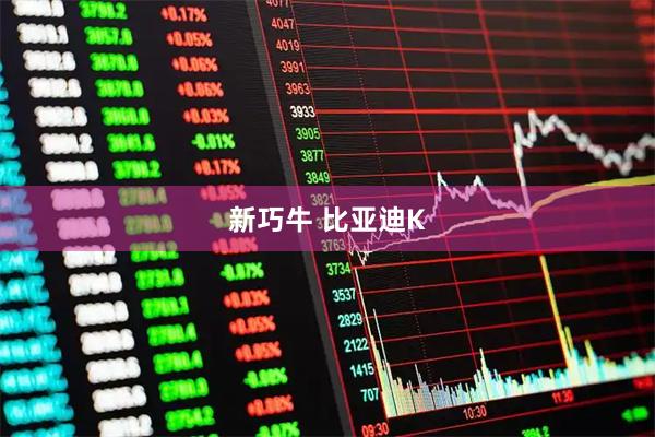 新巧牛 比亚迪K
